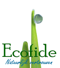 Logo Ecofide